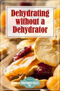 Dehydrating vegetables and fruit is a great way of preserving them without taking up much space. Here are some ideas for dehydrating without a dehydrator by using an oven or several other dehydration methods! #piwakawakavalley