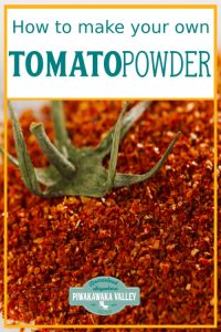 The best thing about making tomato powder at home, is that you can actually just use the scraps that you get after making ketchup or from canning tomatoes, you don't have to use the whole tomatoes for it. You can make tomato powder from the skins and seeds! #piwakawakavalley