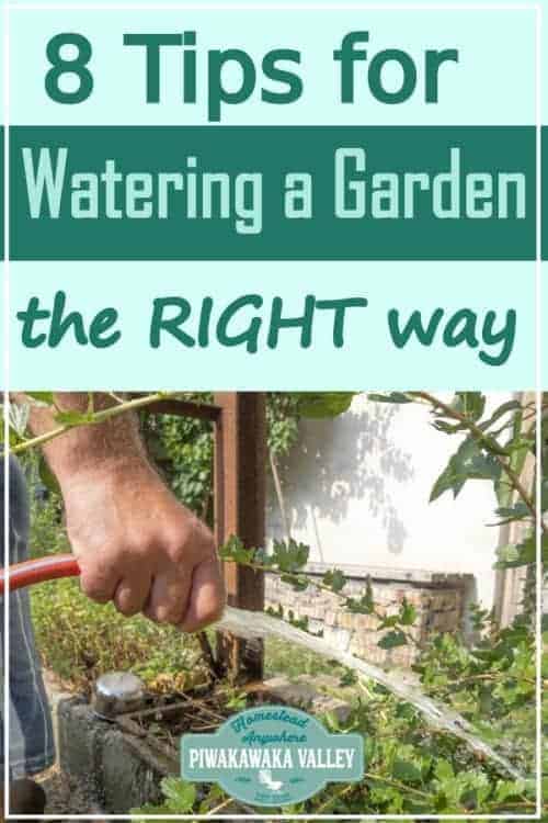 8 Tips for Watering your Vegetable Garden the Right Way