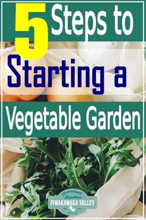 How to start a vegetable garden from scratch promo image
