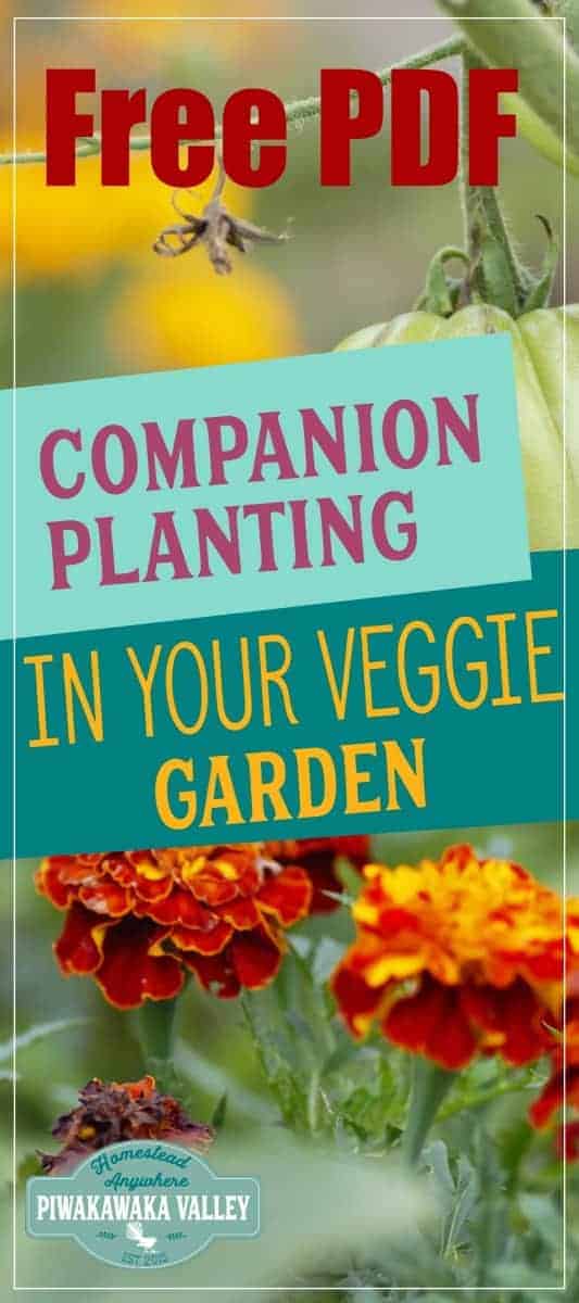 Companion Planting Chart Pdf