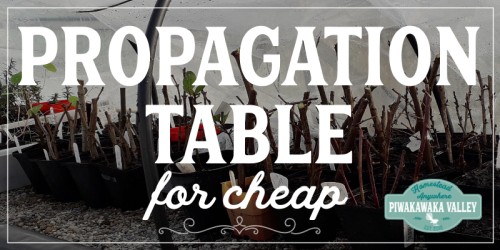 Simple and affordable seed raising table ideas. Can be used as a heated propagation table for growing plants from cuttings, or germinating seeds for the vegetable garden. #piwakawakavalley