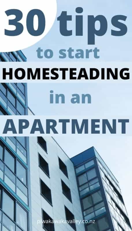 Apartment homesteading promo image