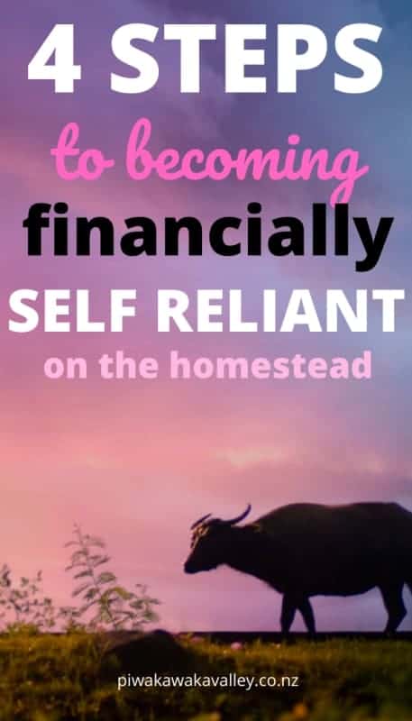 4 Simple Steps to Being a More Financially Self-Reliant Homesteader