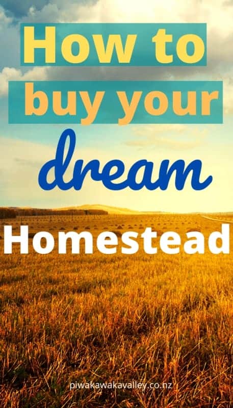 how to buy a homestead