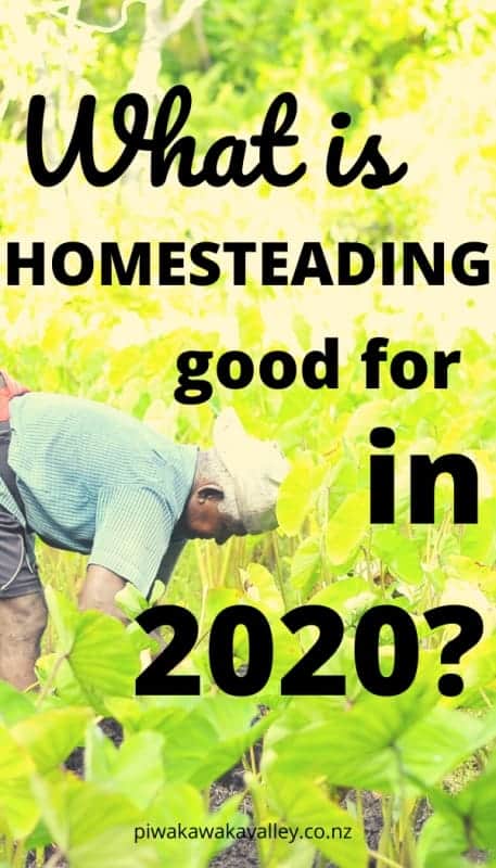 What is homesteading