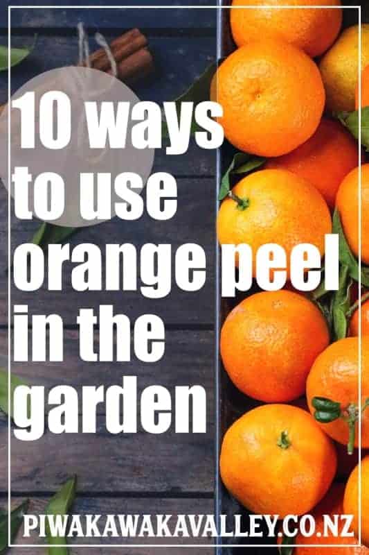 Orange Peel Fertilizer And 10 Brilliant Ways To Use Orange Peels In The Garden