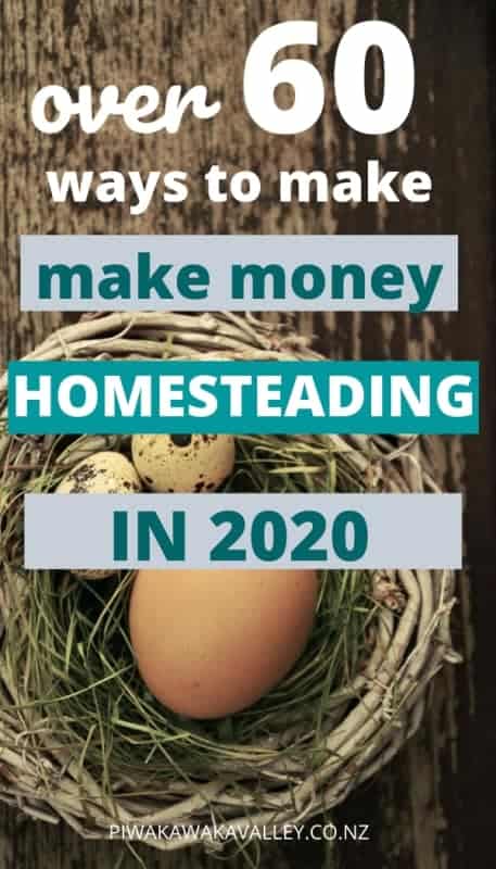 make money homesteading in 2020