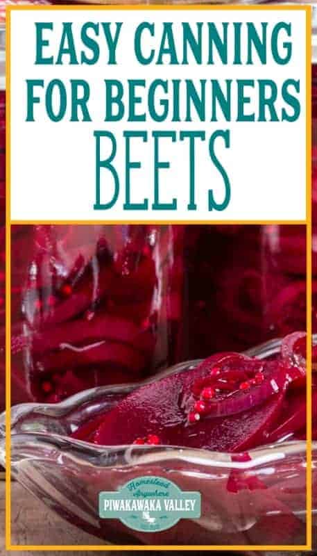 Canned beets