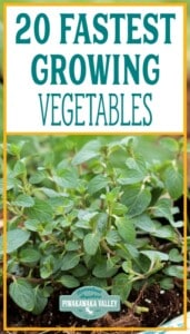 fastest growing vegetables promo image