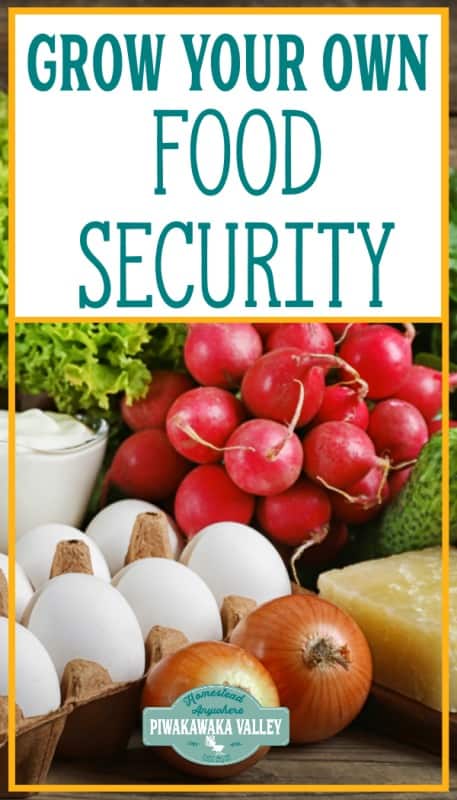 How to create food security pinterest image with overlay