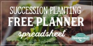 free succession planting spreadsheet garden planner