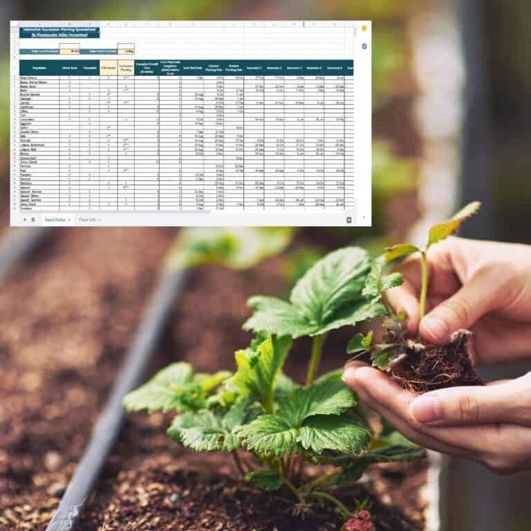 Interactive Succession Planting Spreadsheet - Northern Hemisphere