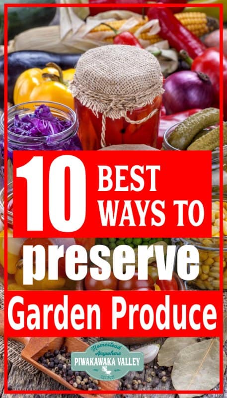 preserving vegetables from the garden pinterest promo image