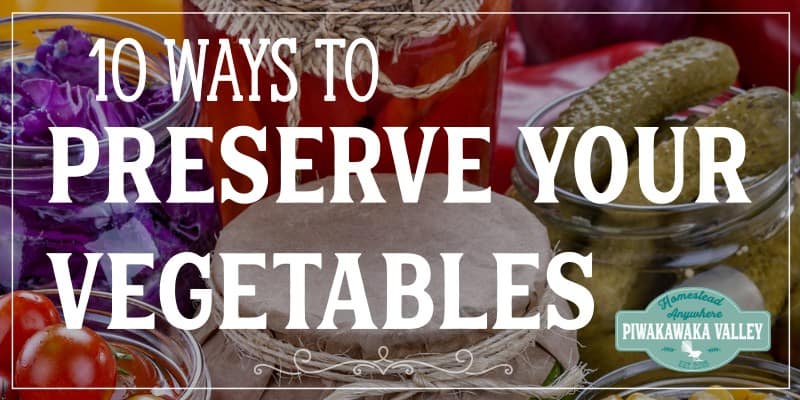 how to preserve vegetables header image