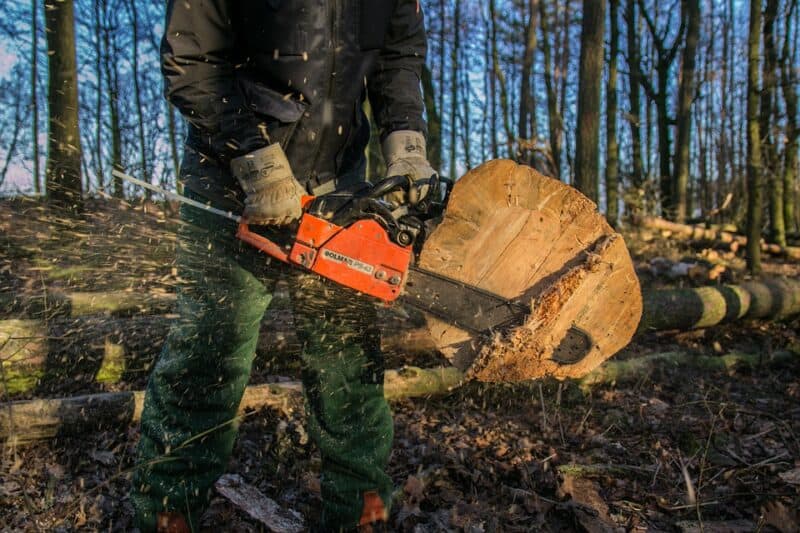 Man cutting trees