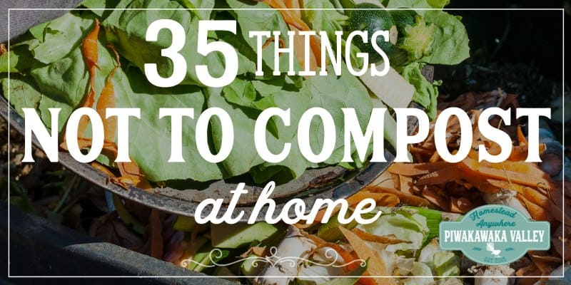 A good compost pile can be a great source of nutrients for your garden. A bad compost pile can be a stinky, slimy disaster. Below is a list of 35 examples of what not to put in compost piles or bins. 