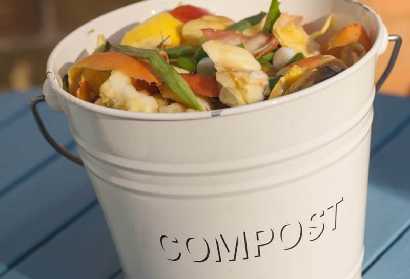 A good compost pile can be a great source of nutrients for your garden. A bad compost pile can be a stinky, slimy disaster. Below is a list of 35 examples of what not to put in compost piles or bins. 