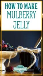 Mulberry Jelly Recipe - Easy and Delicious