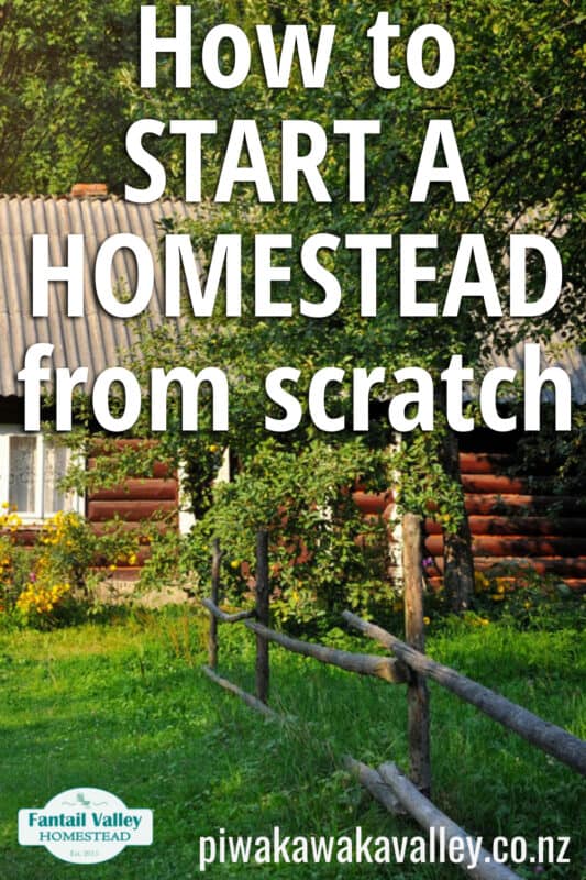 start a homestead from scratch promo image