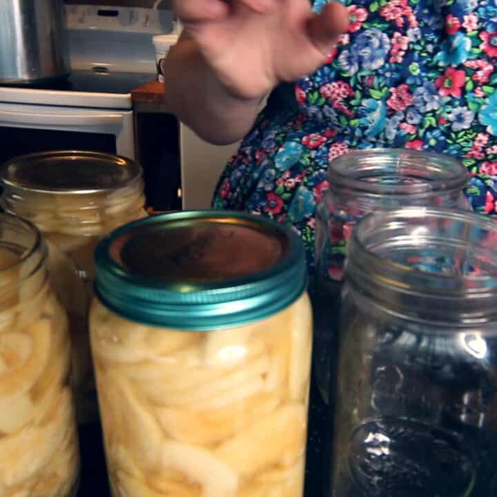 canning apples without sugar image