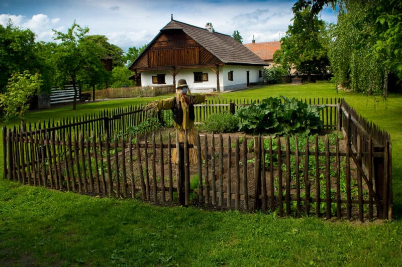 Image of self reliant garden and homestead house