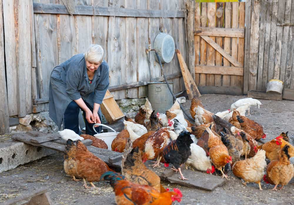 31 Self Reliant Living Tips From Survival Experts The Ultimate Guide