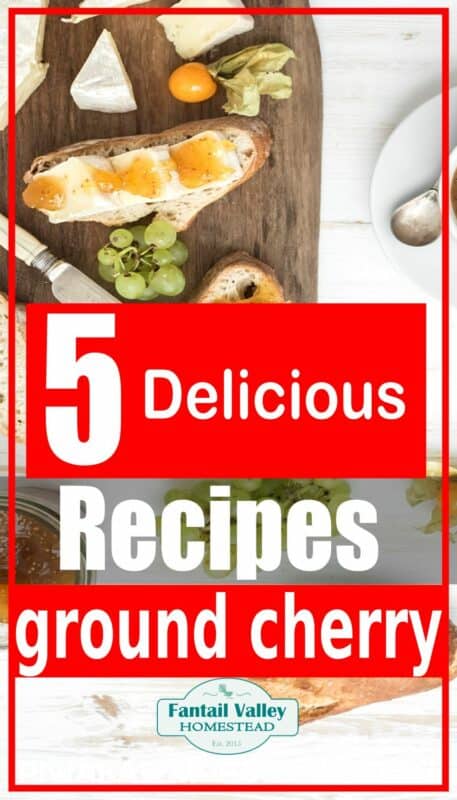 ground cherries recipes promo image