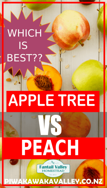 Are apple trees better to plant, or peach trees promo image