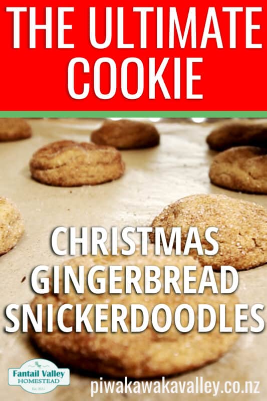 cHRISTMAS GINGERBREAD SNICKERDOODLE RECIPE PROMO IMAGE