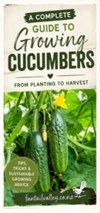 image about growing cucumbers